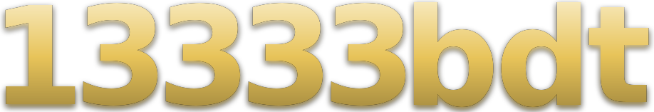 13333bdt logo